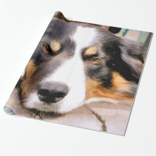 PAPIER CADEAU COLLIE FRONTALIÈRE