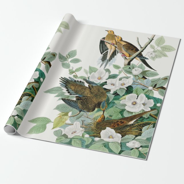 Papier Cadeau Colombe de tortue de la Caroline, oiseaux de (Déroulé)