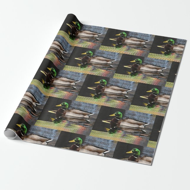 Papier Cadeau Colorful Mallard Duck Water Reflections (Déroulé)