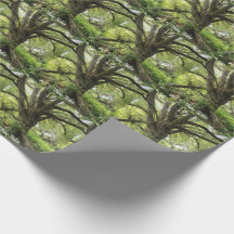 Contes d'arbres