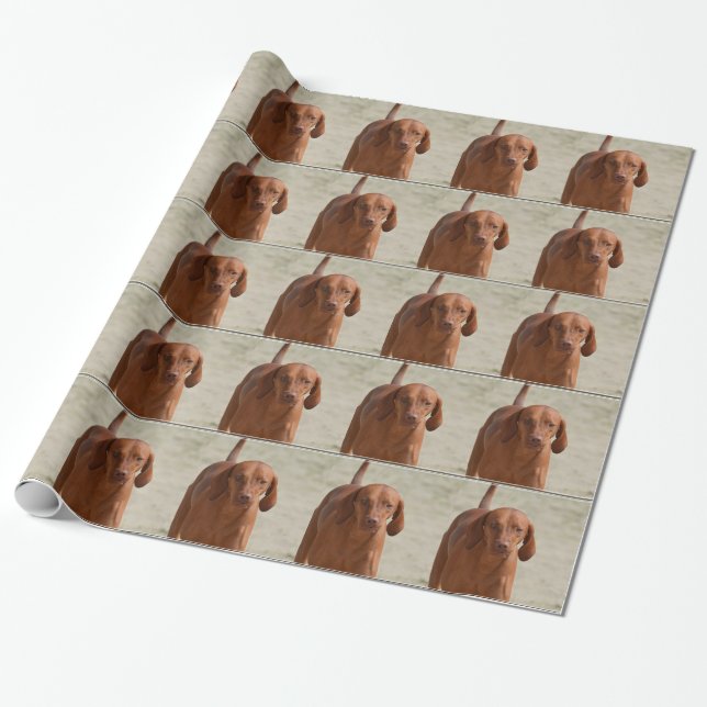 Papier Cadeau Coonhound (Déroulé)