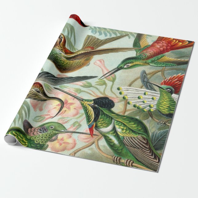 Papier Cadeau Copie d'art d'Ernst Haeckel : Trochilidae (Déroulé)