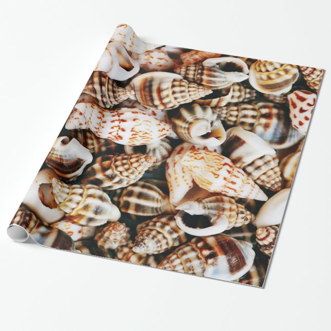 Papier Cadeau Coquillages minuscules (Déroulé)
