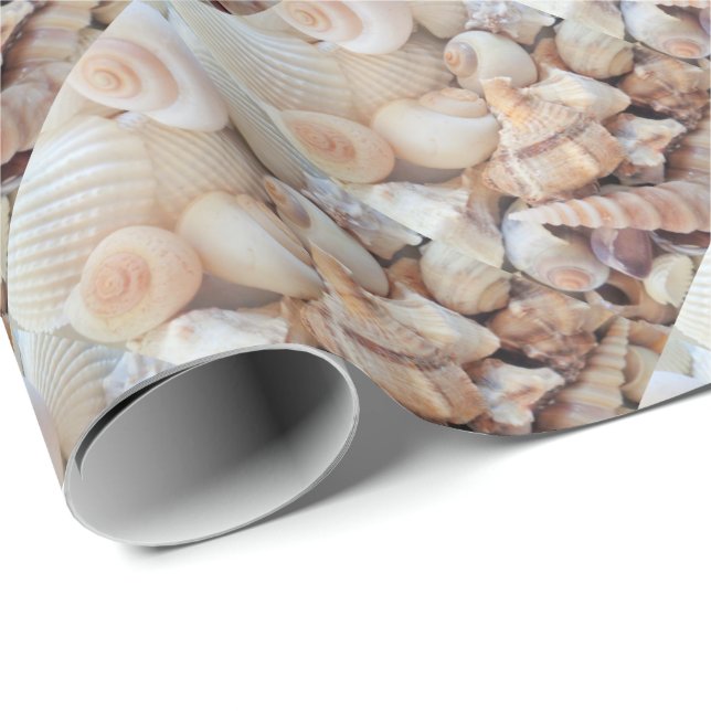 Papier Cadeau Coquilles de mer, été Exotic Tropical Photographie (Coin rond)