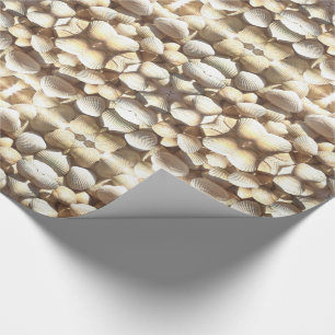 Papier Cadeau Coquilles marines Motif Été Nuances naturelles Bro