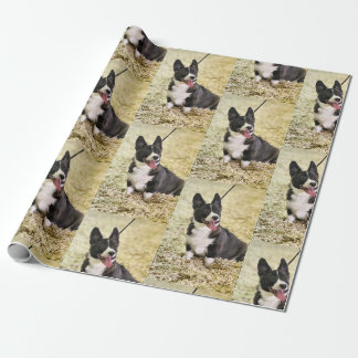 Papier Cadeau Corgi