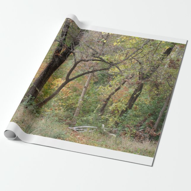 Papier Cadeau Couleurs de chute dans une forêt (Déroulé)