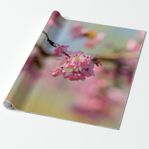 Papier Cadeau Couleurs Magiques Du Jardin Sakura