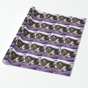 Papier Cadeau Cuisinement Kittens