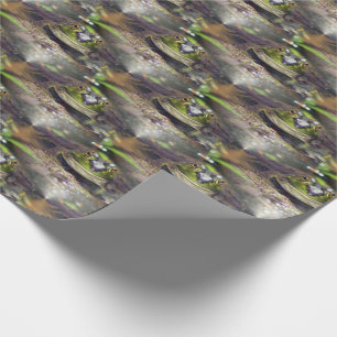 Papier Cadeau Cute Bullfrog Visage Animal Nature Motif