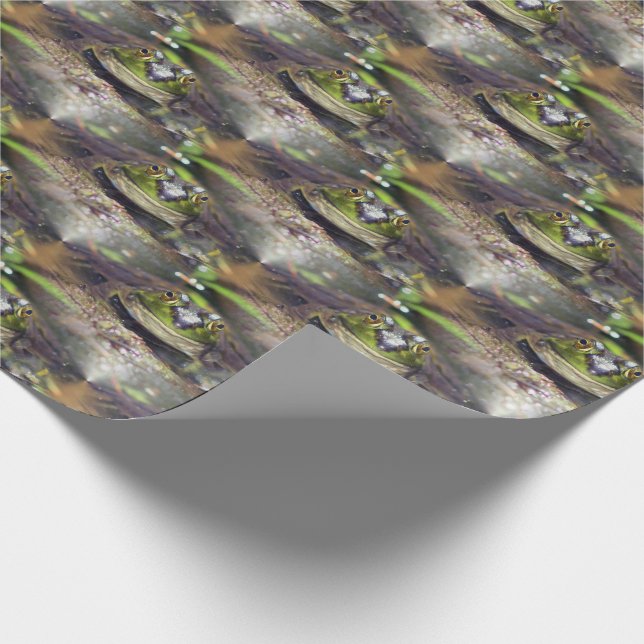 Papier Cadeau Cute Bullfrog Visage Animal Nature Motif (Coin)