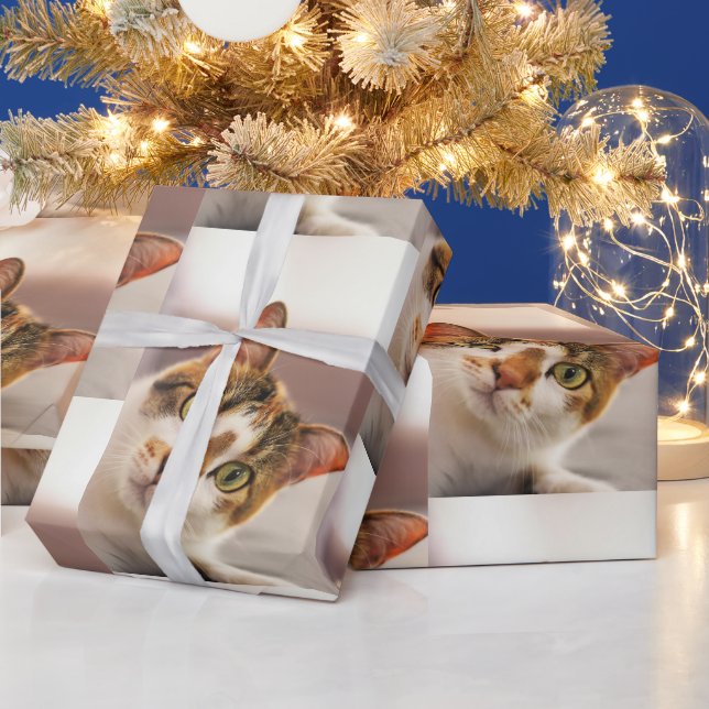 Papier Cadeau Cute Cat Animal Pet Looking Up at You (Vacances)