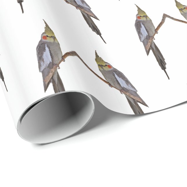 Papier Cadeau Cute Cockatiel Frenzy Wrapper Papier (Coin rond)