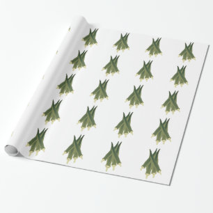 Papier Cadeau Cute Okra