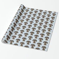Dachshund À poils durs| Teckel Chien mignon