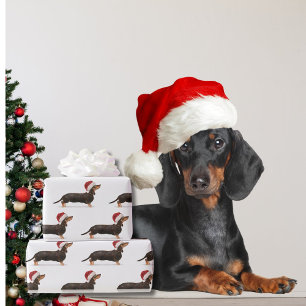 Papier Cadeau Dachshund Chien Noël Santa Hat