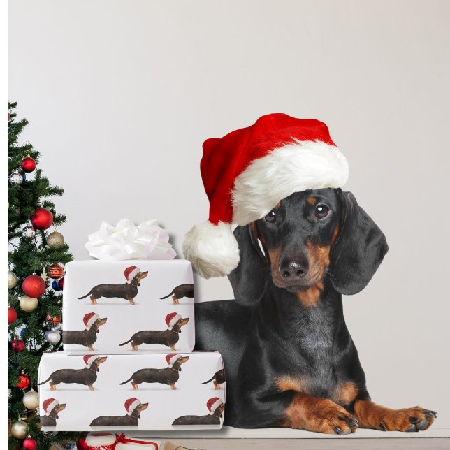 Papier Cadeau Dachshund Chien Noël Santa Hat (Créateur téléchargé)