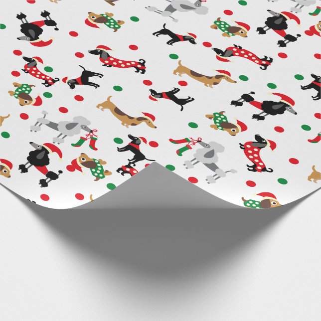 Papier Cadeau Dachshund Poodé Dobie Chien Chien Chien Chien Chie (Coin)