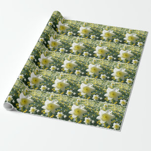 Papier Cadeau Daffodiles Fleurs de ressort Papier d'enveloppemen