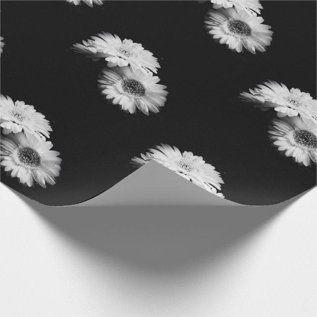 Papier Cadeau Daisy Greyscale (Coin)