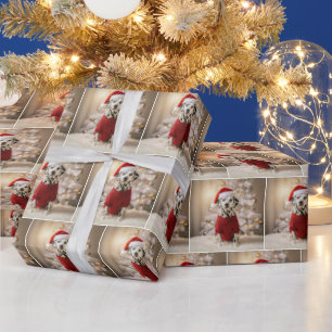 Papier Cadeau Dalmatien de Noël dans un pull rouge