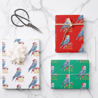 Papier cadeau de Noël Budgie