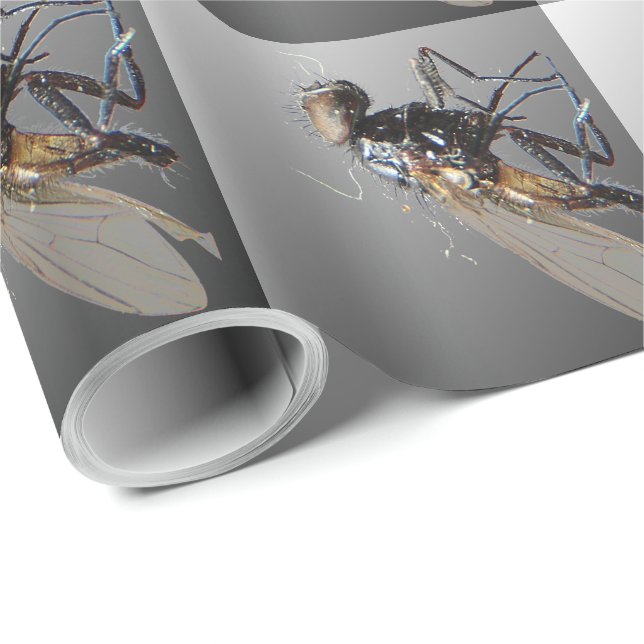 Papier Cadeau Dead Fly (Coin rond)