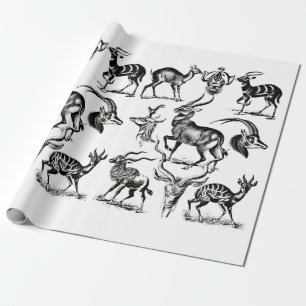 Papier Cadeau Deer Buck Antelope Animaux faune Illustrations