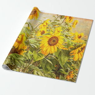 Papier Cadeau Dégagement du terrain de tournesol Antique Vintage