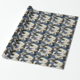 Papier Cadeau Dents de requins de plage de Jax