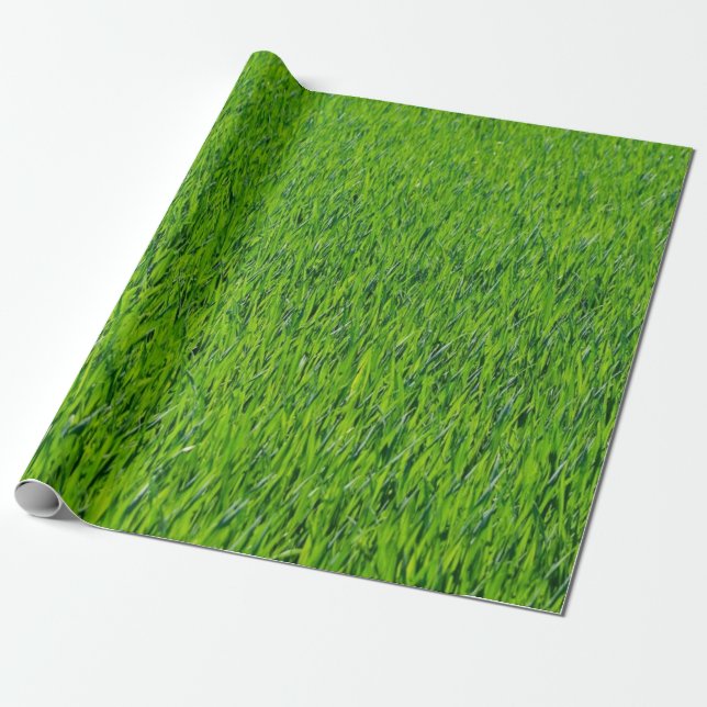 Papier Cadeau Design d'herbe verte (Déroulé)
