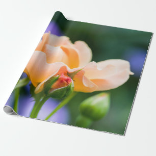 Papier Cadeau désir