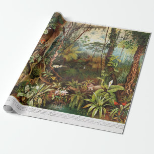 Papier Cadeau Dessin vintage des plantes forestiers tropicaux