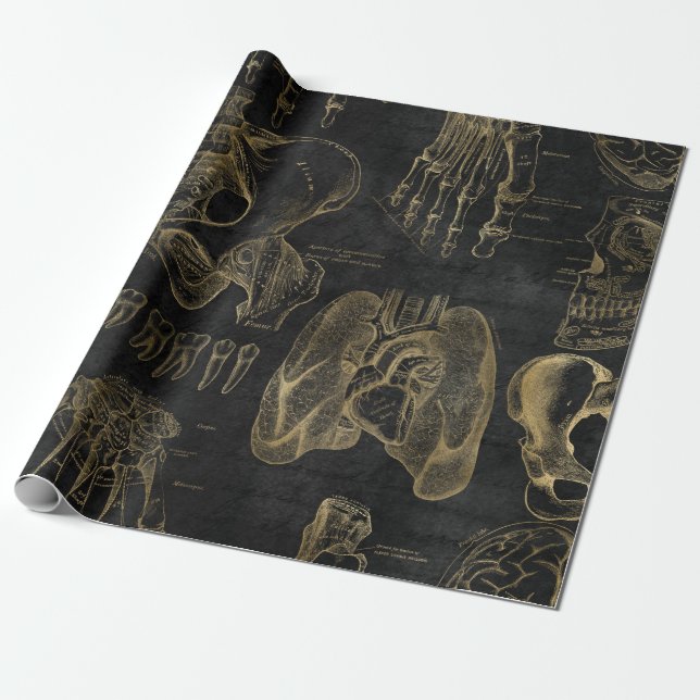 Papier Cadeau Dessins d'anatomie de l'or sur le noir (Déroulé)