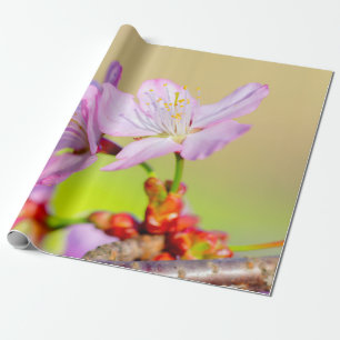 Papier Cadeau Deux Fleurs Braves Sakura Et Arrière - plan Coloré