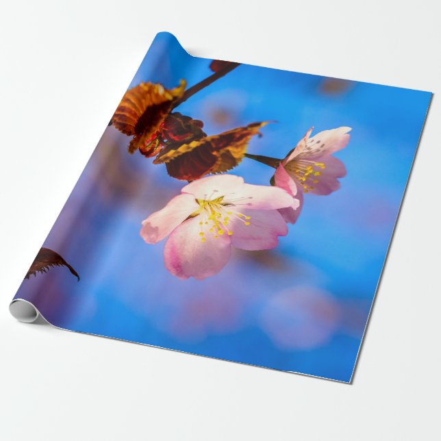 Papier Cadeau Deux Fleurs Sakura En Bleu (Déroulé)