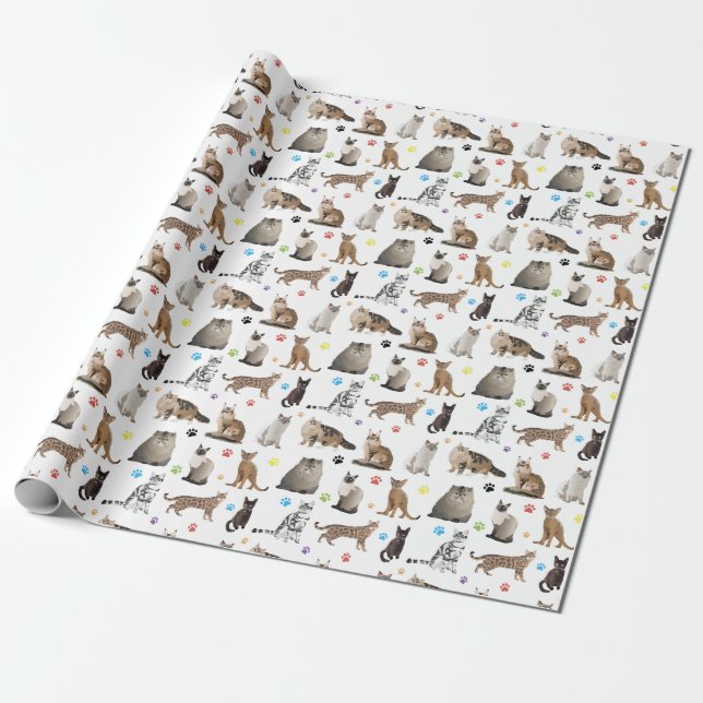 Papier Cadeau Divers Motifs de chats (Déroulé)