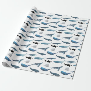 Papier Cadeau Diverses baleines