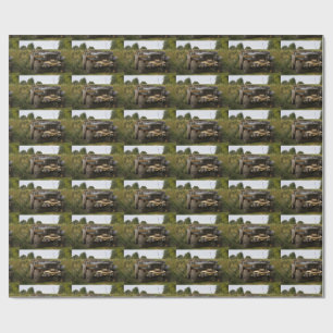 Papier Cadeau Dodge WC 57