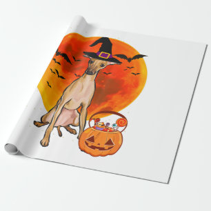 Papier Cadeau Dog Halloween Italian Greyhound Jack O Lantern