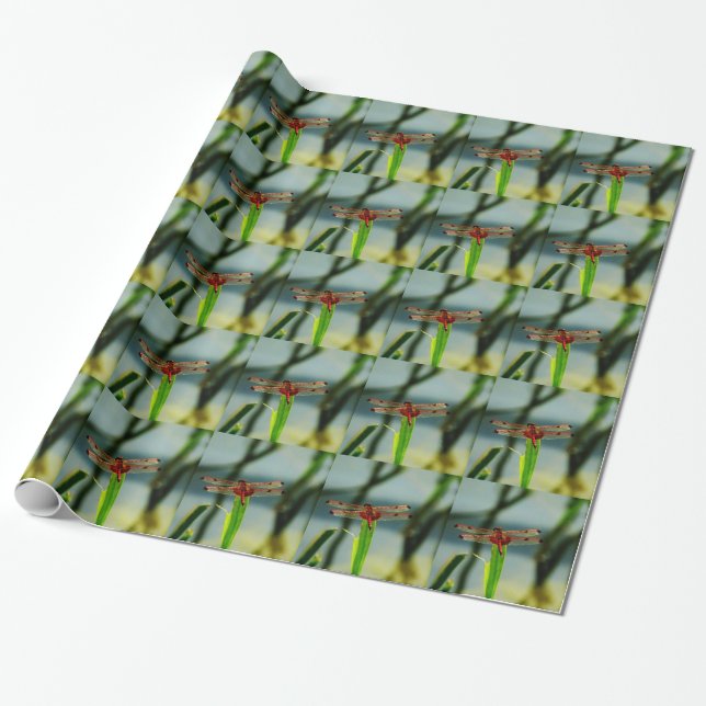 Papier Cadeau Dragonfly rouge et noire tachetée (Déroulé)