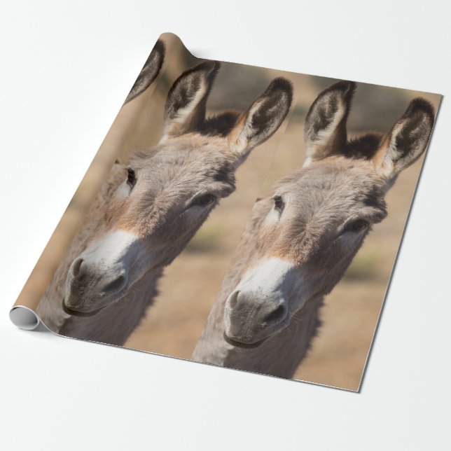 Papier Cadeau Drôle de visage d'âne (Déroulé)