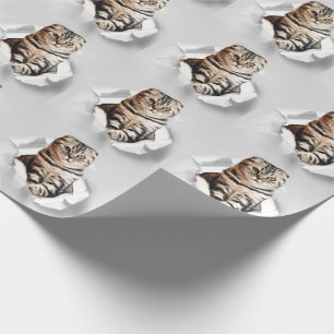 Papier Cadeau Drôle Gray Cat Popping à travers l'illusion du pap