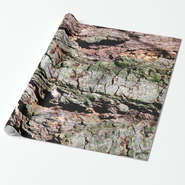 Papier Cadeau Écorce d'arbre (Déroulé)