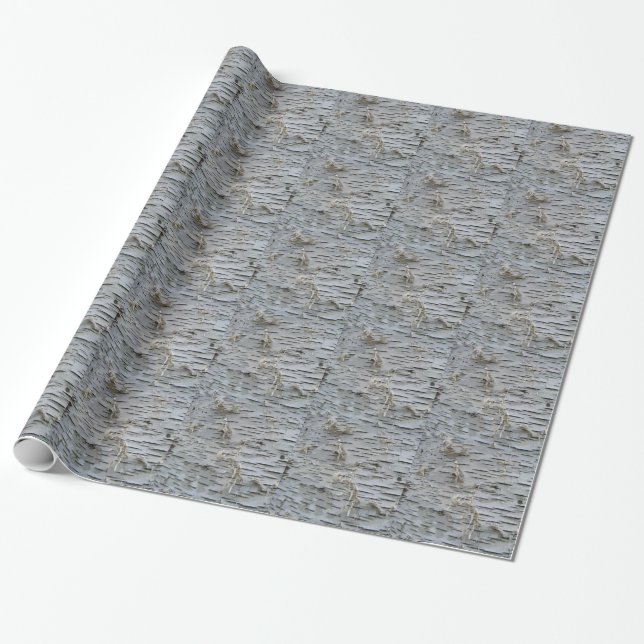 Papier Cadeau Écorce de bouleau blanc (Déroulé)
