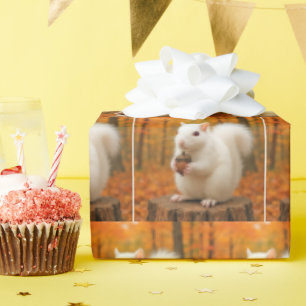 Papier Cadeau Écureuil blanc tenant un maïs
