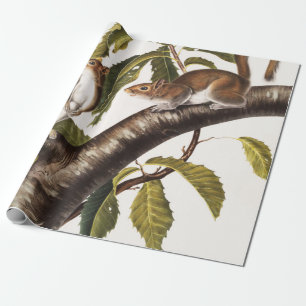Papier Cadeau Écureuil gris de Caroline (Sciurus Carolinensis)