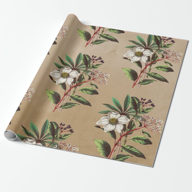 Papier Cadeau Élégant Rustic Kraft Roses de Noël (Déroulé)