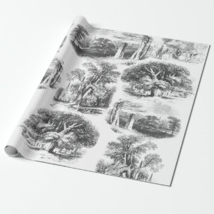 Papier Cadeau Elégant Vintage noir blanc anglais Country Toile
