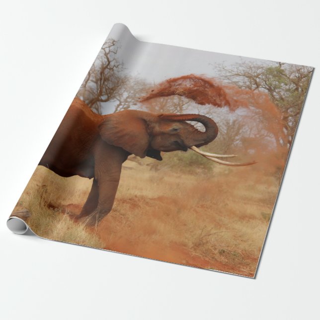 Papier Cadeau Éléphant (Déroulé)